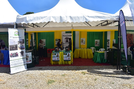 WorldEnvironment Day Exhibition Report